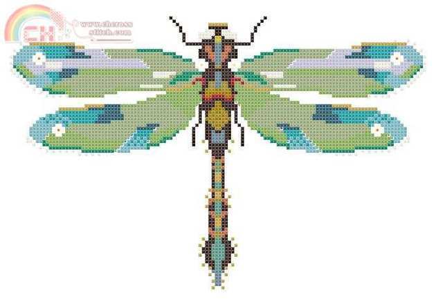 NC101_emerald_dragonfly.jpg
