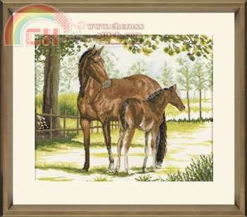 34888 Mare and foal.jpg