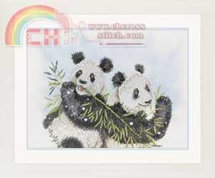 34822 Pandas.jpg