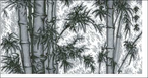 Bamboo.jpg