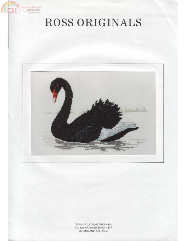 Black Swan-1.jpg