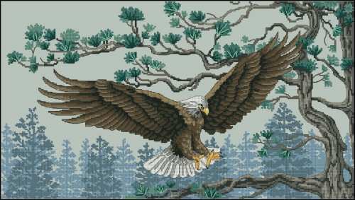Dimensions 13640_Majestic_Eagle.jpg