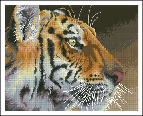 Dim 35171 REGAL TIGER.jpg