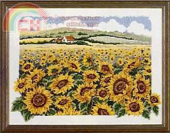 EPX 46 Sunflowerfield.jpg