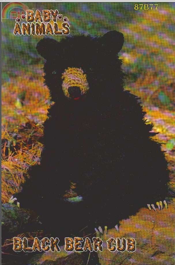 Black Bear.jpg