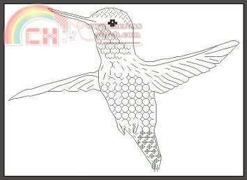 Hummingbird blackwork.jpg