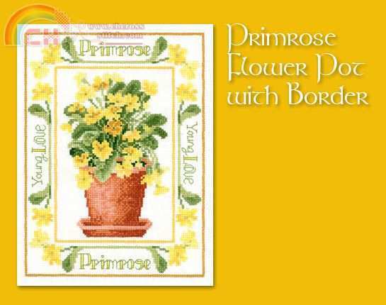 Primrose Flower Pot with Border (picture).jpg
