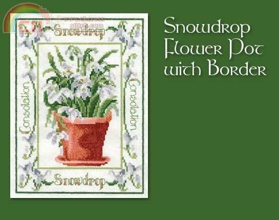 Snowdrop Flower Pot With Border (picture).jpg