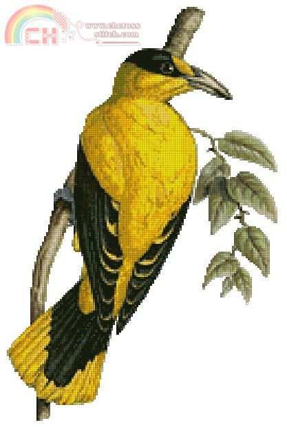 Artecy Yellow Bird.jpg