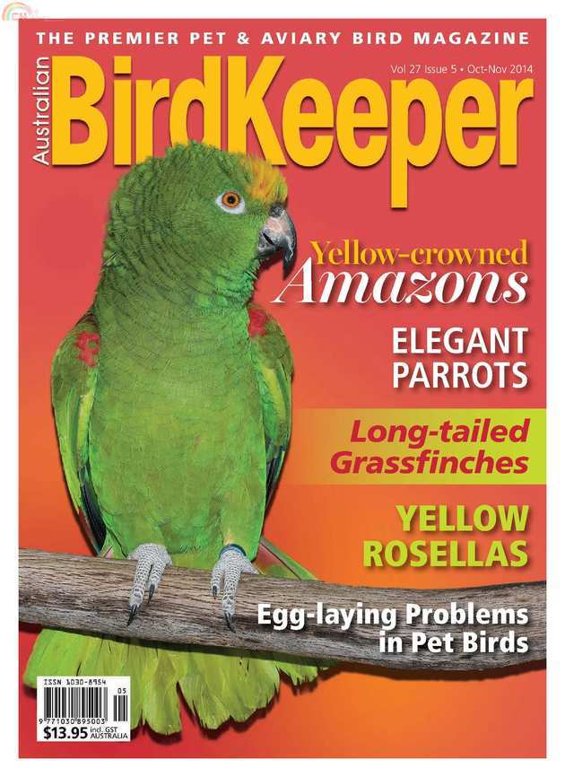 Birdkeeper (1).jpg
