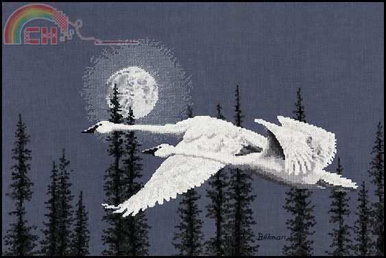 The Stitching Studio - Night Moves (Trumpeter Swans).jpg